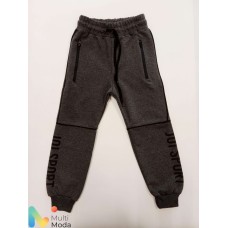 Брюки спортивные для мальчика модель С117