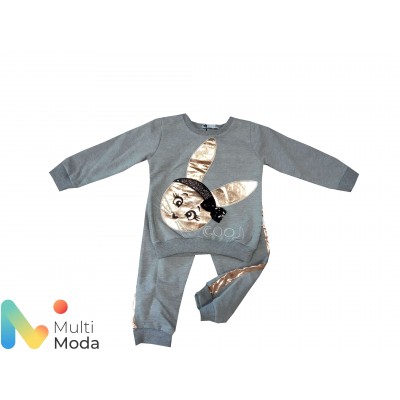 Костюм для девочки (джемпер,брюки)  модель TFA19-1065