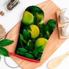 Рукавица кухонная стеганая 26х18 см Яблоневый сад Рукавица кухонная стеганая 26х18 см Яблоневый сад
