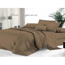 Комплект постельного белья Sateen De Luxe Сатин 1,5 сп. Какао и карамель с пододеяльником на молнии Эльф